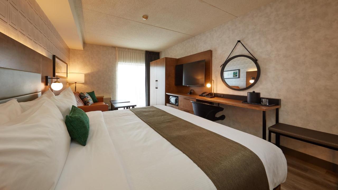 Business King Room - Fully Renovated 2021