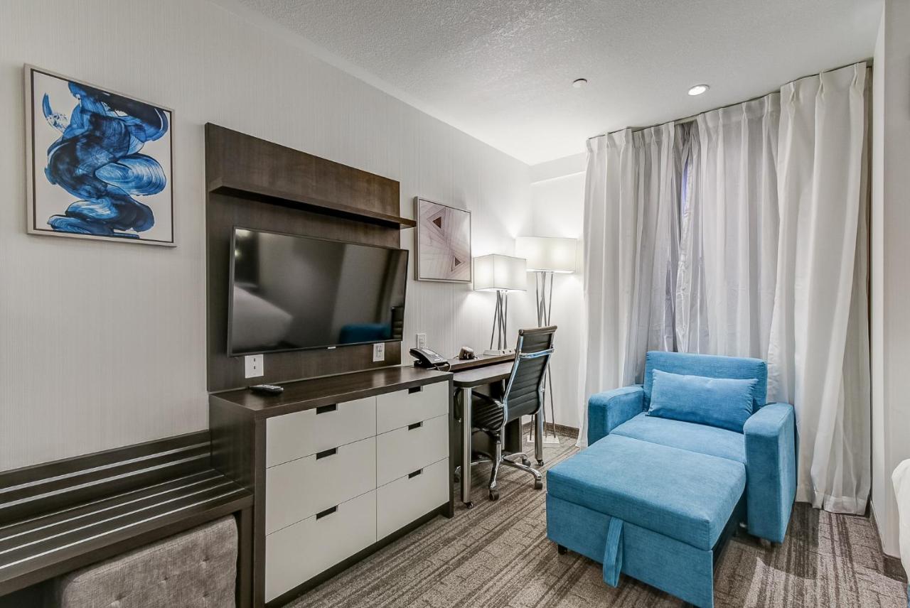 King Studio with Sofa Bed