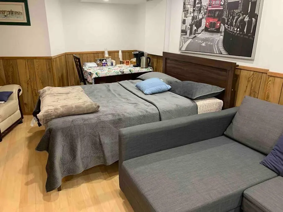 Big Oasis Studio Near Airport Yyz-1