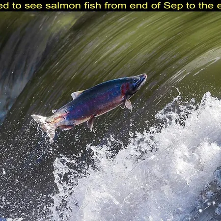 Salmon Magwood Guesthouse-2