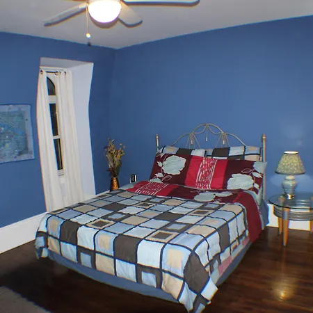 Comfy Guesthouse & Suite-3